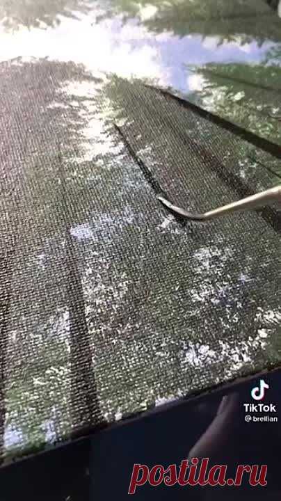 Video by Типичный художник (93).mp4