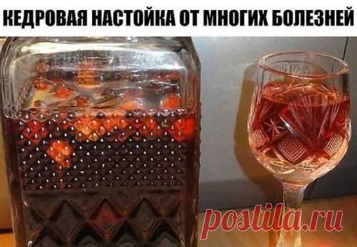 (11) Pinterest