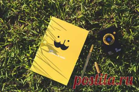 Подборка прикольных и интересных картинок №lublusebya-41191025042019 | Люблю Себя