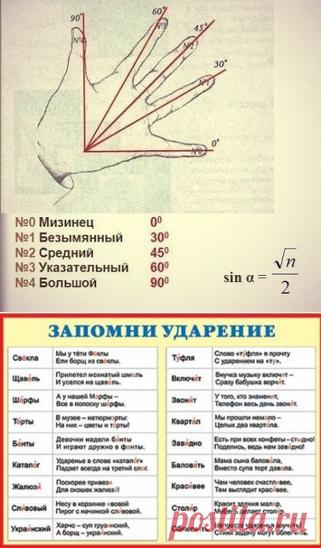 (6) Одноклассники