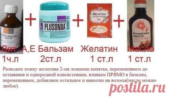 Мои закладки