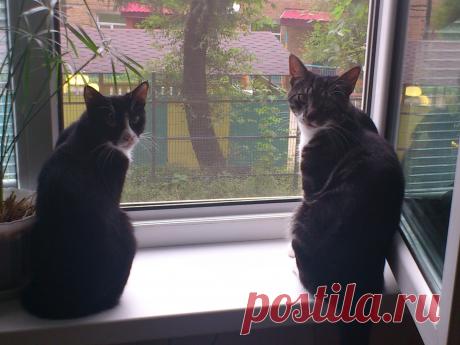 у нас все хорошо!