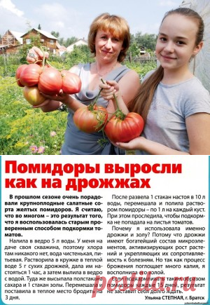«Дедовский» рецепт для томатов.