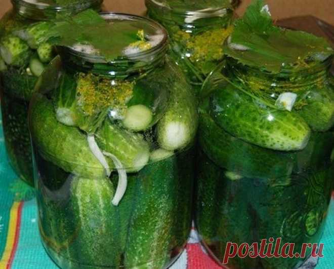 Незабываемые на вкус Огурчики в 