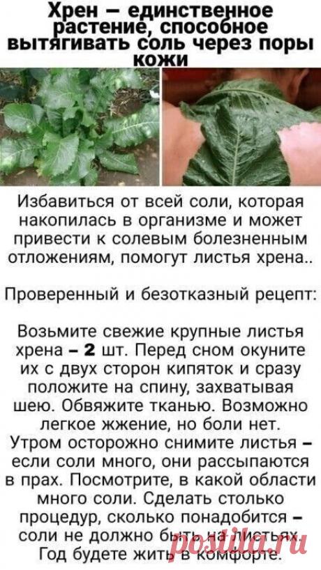 Про хрен и здоровье