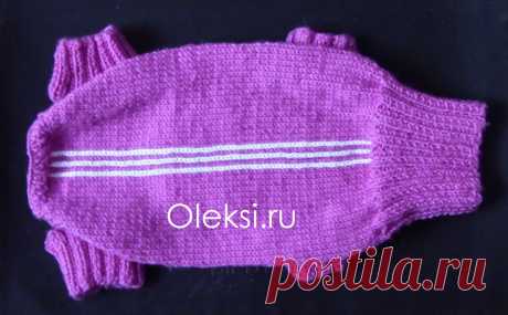 Свитер для йорка спицами : Вязание на oleksi.ru