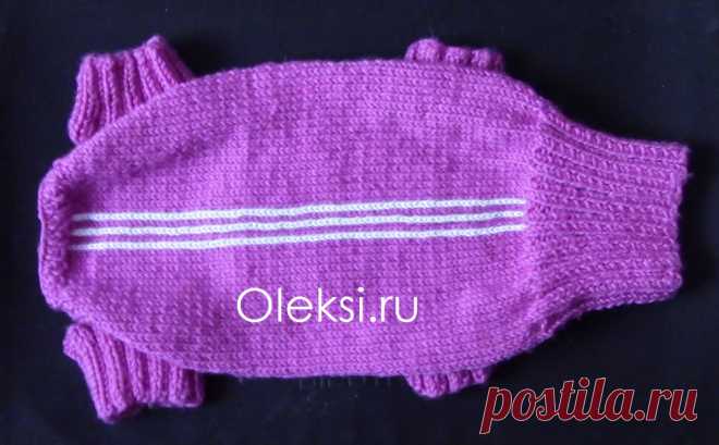 Свитер для йорка спицами : Вязание на oleksi.ru
