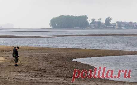Росводресурсы объяснили падение уровня воды в Волге проблемами Каспия. Председатель Госдумы Вячеслав Володин связал проблемы с уровнем воды в Волге с «низким уровнем принятия решений» в Росводресурсах. Агентство указывает на падение уровня Каспийского моря.
