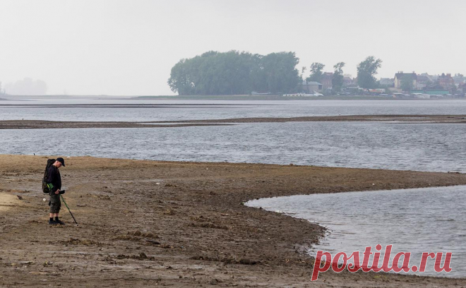 Росводресурсы объяснили падение уровня воды в Волге проблемами Каспия. Председатель Госдумы Вячеслав Володин связал проблемы с уровнем воды в Волге с «низким уровнем принятия решений» в Росводресурсах. Агентство указывает на падение уровня Каспийского моря.