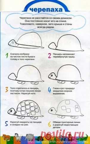 Рисуем животных . - Поделки с детьми | Деткиподелки