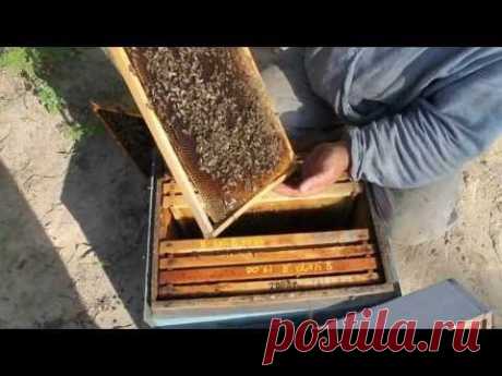 Метка маток 2013 - YouTube