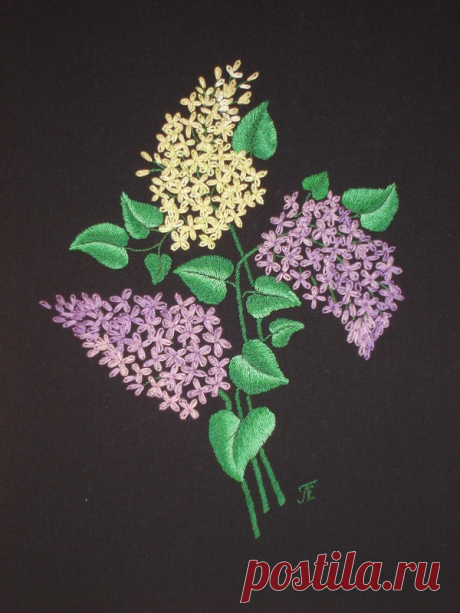 Яндекс.Фотки