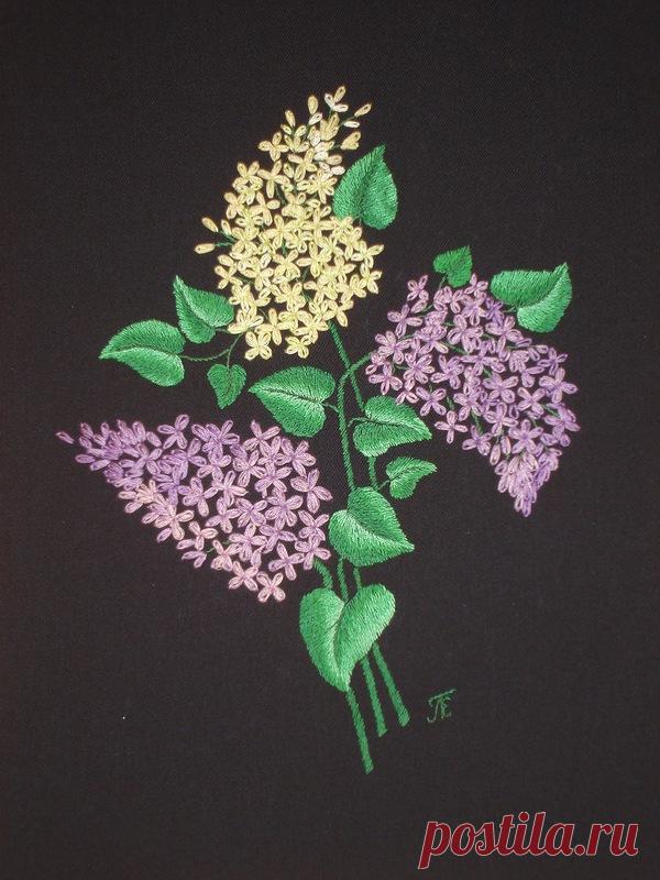 Яндекс.Фотки