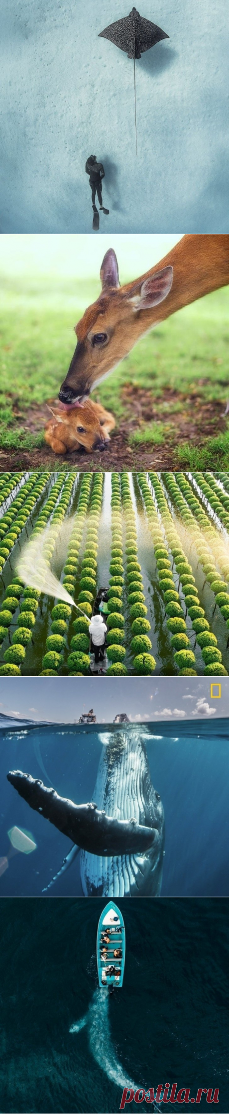 Удивительная планета на cнимках фотoграфов National Geographic.