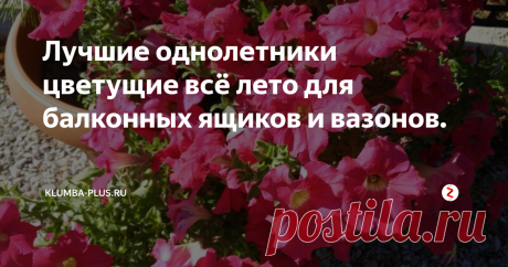 Лучшие однолетники цветущие всё лето для балконных ящиков и вазонов. Для украшения балконов, террас, открытых веранд, беседок, дворов можно использовать балконные ящики, вазоны, подвесные кашпо на высоте и любые ёмкости или колёса на земле, чтобы высадить в них цветы для создания мини клумб. Такие яркие пятна будут радовать глаз, поднимать настроение,  украшать место, где все собираются для отдыха летом.