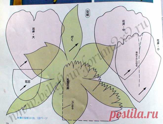 Просмотр изображения 2334959 | Сервис публикации и хранения изображений : хостинг картинок : размещение фоток : место для фотографий : фотохостинг : Free Image Hosting