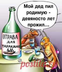 Рецепты уничтожение тараканов