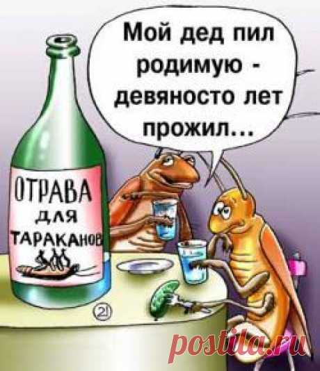 Рецепты уничтожение тараканов