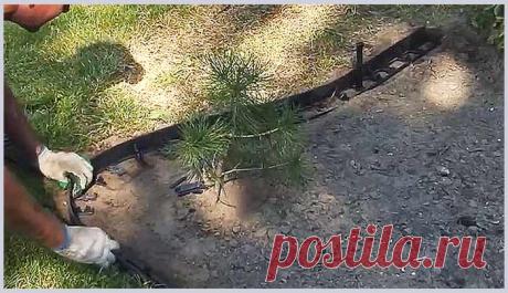 Как выбрать и установить пластиковый садовый бордюр