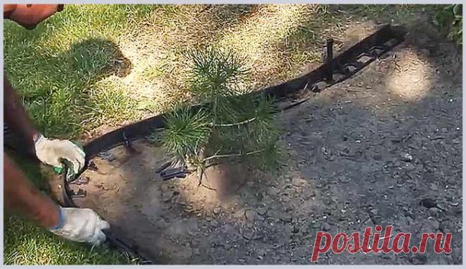 Как выбрать и установить пластиковый садовый бордюр