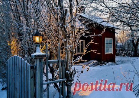 Календарь сезонных работ в саду: декабрь - Planetalsad