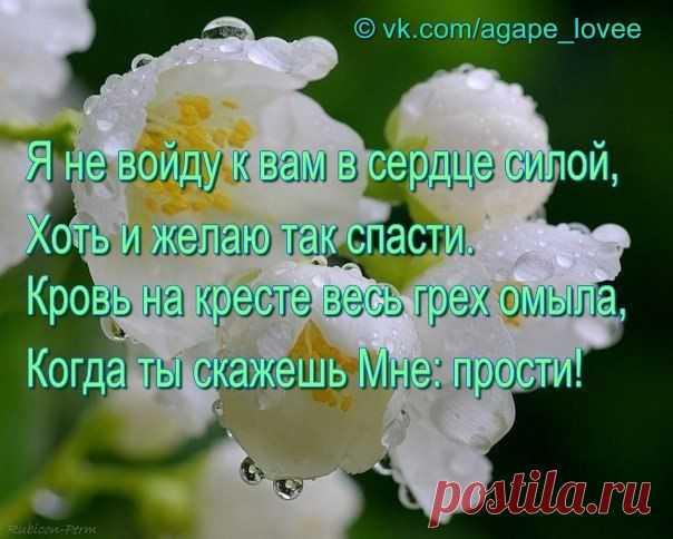 ♥...Агапэ...♥