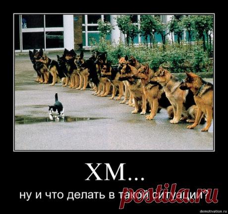 Женская логика в картинках — Всегда в форме!