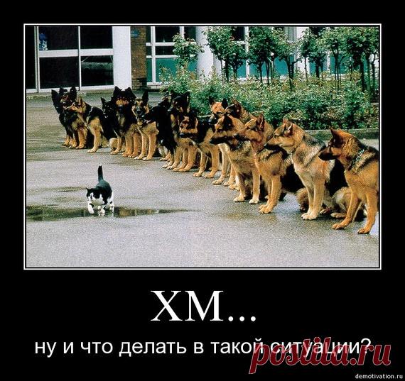 Женская логика в картинках — Всегда в форме!