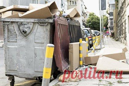 В Испании студентку раздавило мусоровозом