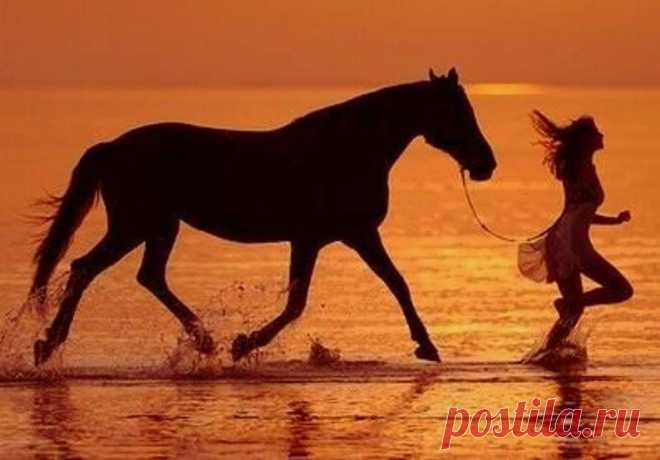 Влечет меня старинный слог.есть обаянье в древней речи.Она бывает наших слов и современние и резче...Вскричать: "Полцарства за коня" - какя вспыльчивость и щедрость.Но снизойдет и до меня последнего задора тщетность.( Белла Ахмадулина)