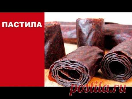 Живая пастила из слив | сливовая пастила в сушилке