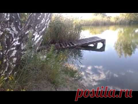 Красота природы Омская область Расслабляющее видео. Красивая мелодия