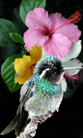 Bellezas de la naturaleza