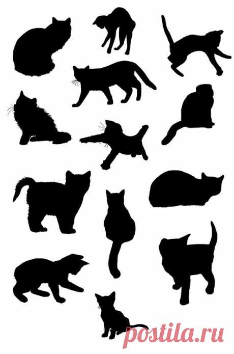 Котики (трафик)