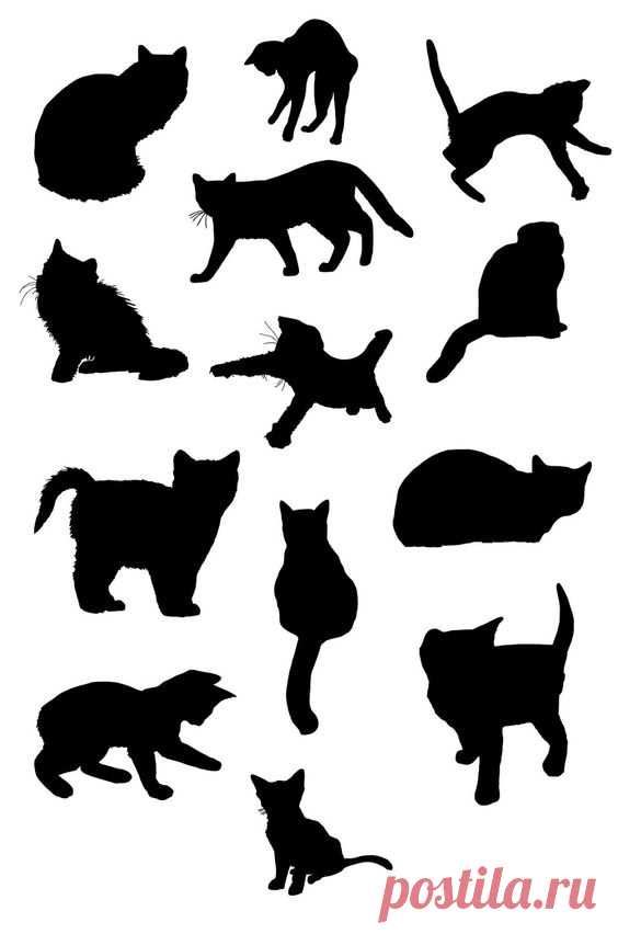 Котики (трафик)