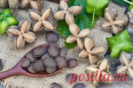 Дары Амазонки – арахис инков или сача инчи На днях открыла для себя масло сача инчи! Вы о таком слышали? Я – нет( Мне его настойчиво рекомендовали в магазине органик средств. Я аккуратно отказалась, потому что если о чем-либо не знаю, беру только в совершенно исключительных случаях. Из серии «открываешь баночку и чувствуешь такую сильную энергетику, что даже без лишних слов ясно, что средство работает»:). А вот с сача инчи я все-таки захотела для начала разобраться, что эт...