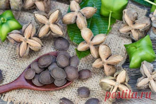 Дары Амазонки – арахис инков или сача инчи На днях открыла для себя масло сача инчи! Вы о таком слышали? Я – нет( Мне его настойчиво рекомендовали в магазине органик средств. Я аккуратно отказалась, потому что если о чем-либо не знаю, беру только в совершенно исключительных случаях. Из серии «открываешь баночку и чувствуешь такую сильную энергетику, что даже без лишних слов ясно, что средство работает»:). А вот с сача инчи я все-таки захотела для начала разобраться, что эт...