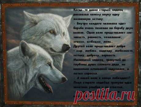 (79) Одноклассники