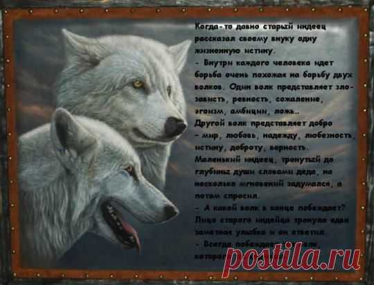 (79) Одноклассники
