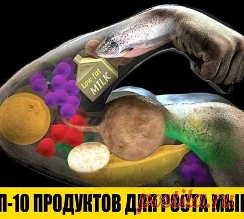 ТОП-10 продуктов для роста мышц