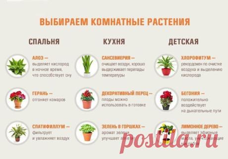 Лучшие варианты для дома
