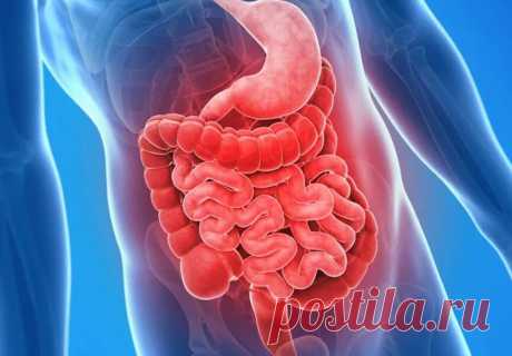 Здоровый кишечник-это ключ к счастью | Здоровье для каждого | Яндекс Дзен