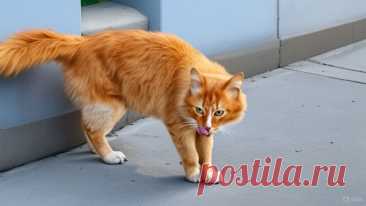 Душевная слякоть - OGADANIE.RU