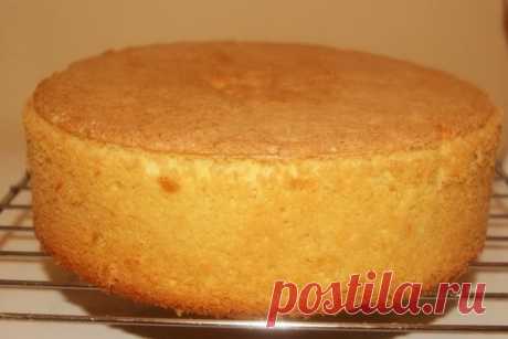 ЛУЧШИЕ РЕЦЕПТЫ КОРЖЕЙ ДЛЯ ТОРТОВ 🍰 - 1000