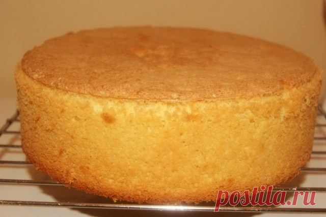 ЛУЧШИЕ РЕЦЕПТЫ КОРЖЕЙ ДЛЯ ТОРТОВ 🍰 - 1000