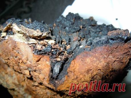 СТРАХОВКА ОТ ОНКОЛОГИИ.