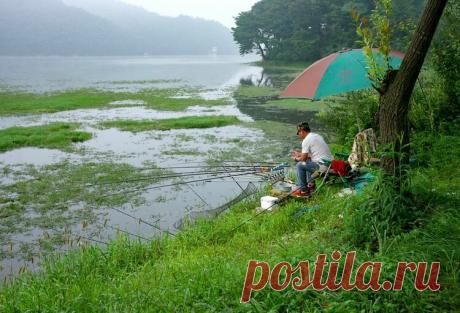 Карась от этого взбодрится – старая проверенная насадка от бесклёвья | Рыбалка для людей | Яндекс Дзен