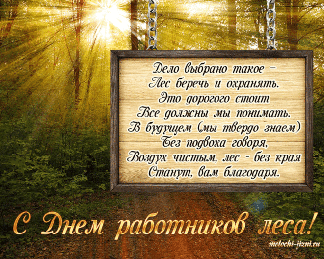 Благодать с лесу всегда,
Свежий воздух опьяняет,
Не жалеешь, что года
Средь деревьев пролетают.