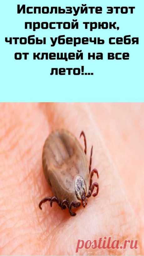 Вы можете воспользоваться этим простым советом, чтобы защититься от клещей и комаров на все лето! Как же хочется вырваться из душной квартиры в теплый лес или к природе. В это время года так много опасных насекомых и неприятных комаров; есть риск пострадать даже от этих самых невидимых представителей животного мира...