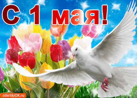 Поздравления с 1 мая праздник весны и труда